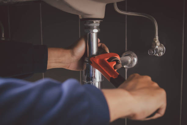 Best Plumbing Inspection Services  in Newmanstown, PA